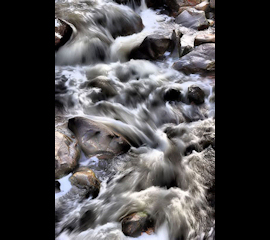 photo by Steve Carter