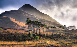 photo by Steve Carter