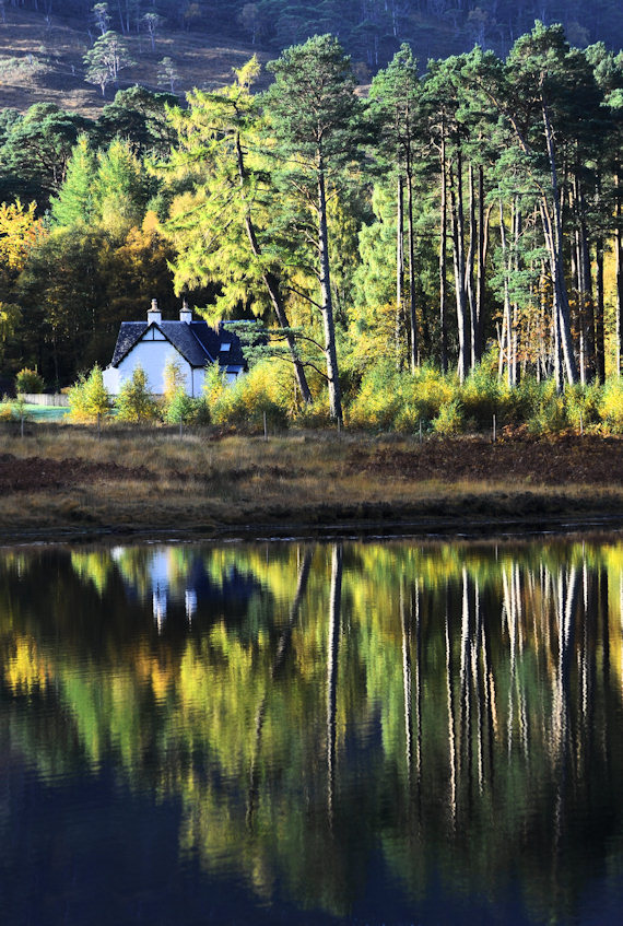 Photographing forests Page 1 Photography &