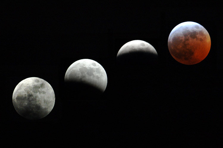 Beautiful Moon Quotes