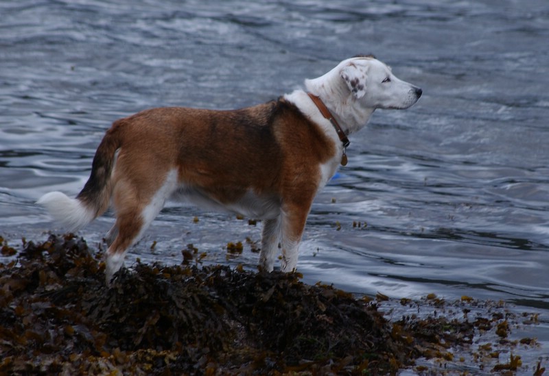 Image42.jpg