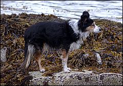 Image19.jpg
