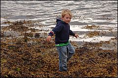 Image45.jpg