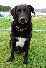 2005-10a.jpg