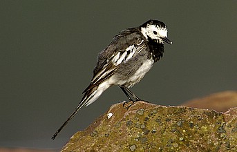2005-7.jpg