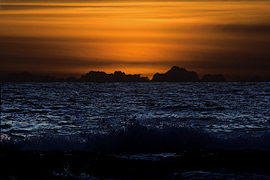 photo by Steve Carter
