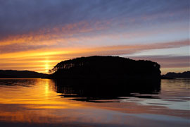 photo by Steve Carter