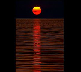 photo by Steve Carter