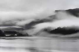 photo by Steve Carter
