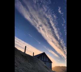 photo by Steve Carter