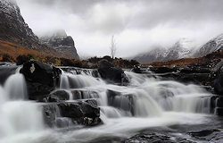 photo by Steve Carter