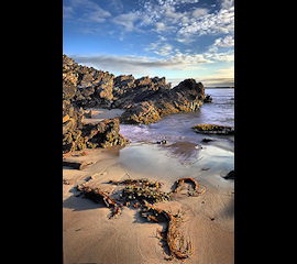 photo by Steve Carter