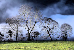 photo by Steve Carter