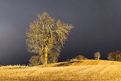 photo by Steve Carter