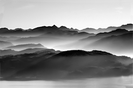 photo by Steve Carter