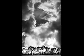 photo by Steve Carter