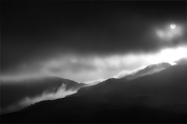 photo by Steve Carter